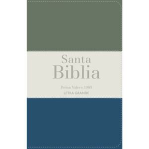 Biblia RVR 1960 Letra Grande Tamaño Manual Tricolor Gris Crema Azul